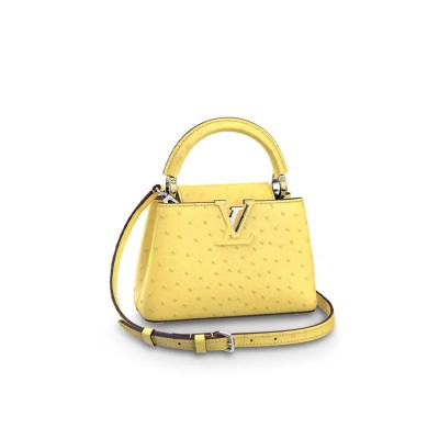 LOUIS VUITTON CAPUCINES MINI M95509 (21*14*8cm)